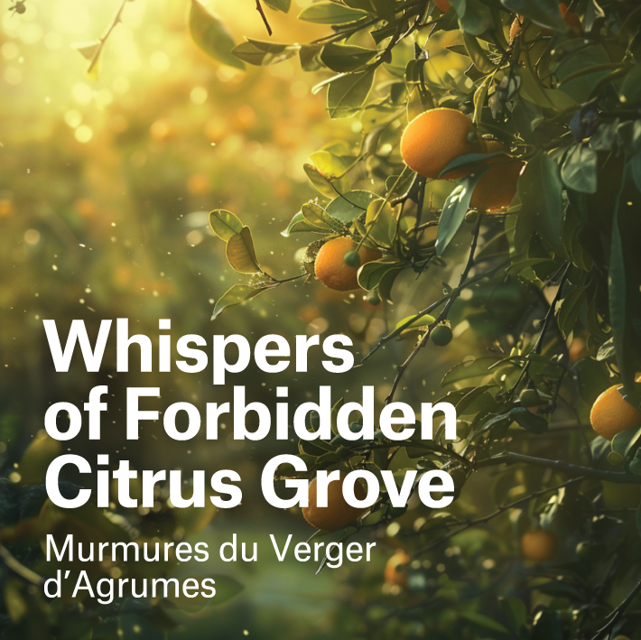 Origin Collection - Fragrance Layer 01 - Whispers of Forbidden Citrus Grove